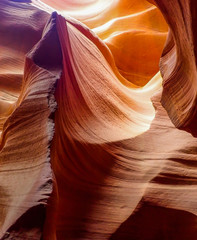 Wandcirkels Bruin Goudbruine lijnen in slot canyon  © Erin