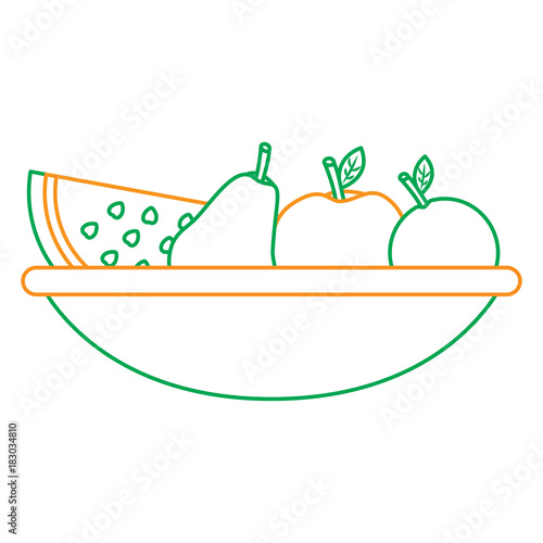 fruit bowl icon image vector illustration design 