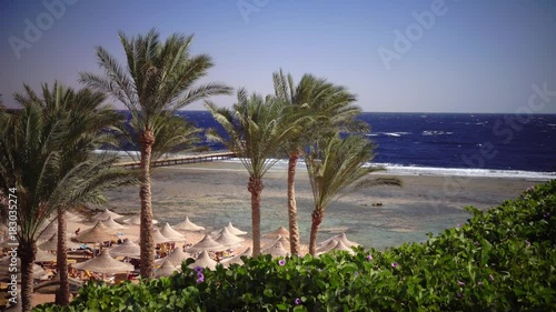 Wallpaper Mural People came on vacation on a hot beach and swim in the ocean Torontodigital.ca