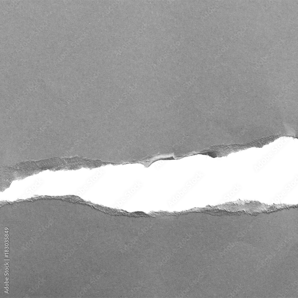 Gray ripped paper texture background. copy space Gray ripped paper texture background. copy space