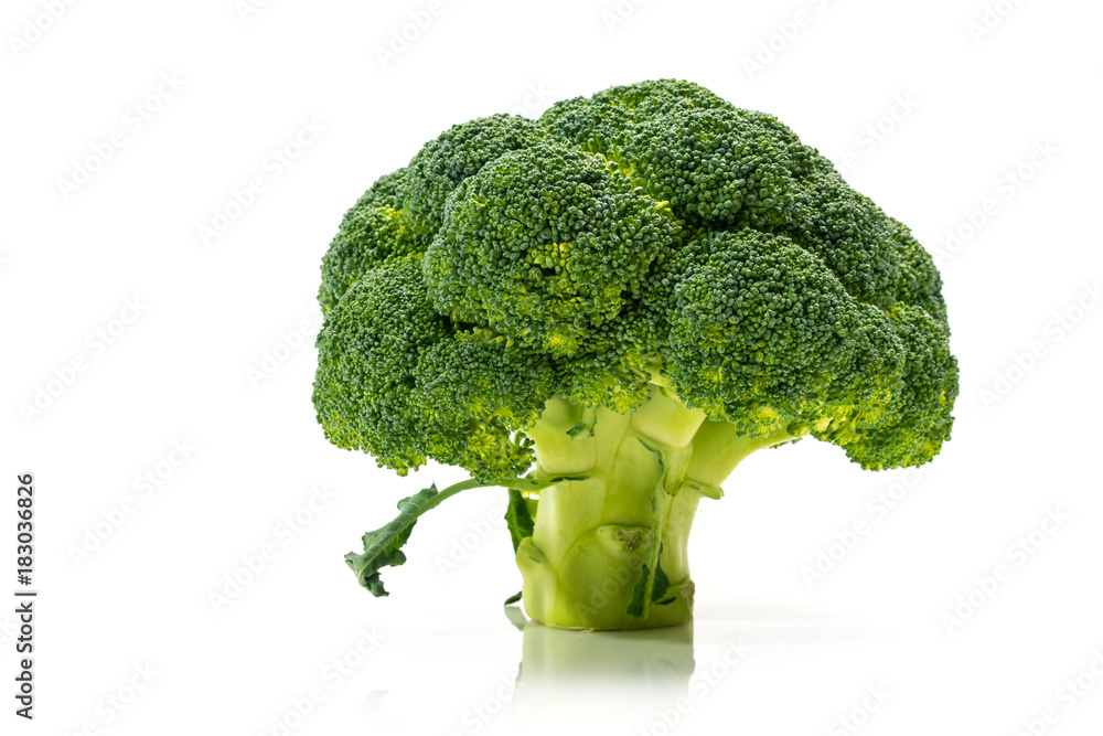 Fresh Broccoli, Tree Look, Studio Shot on White Background Fresh Broccoli, Tree Look, Studio Shot on White Background
