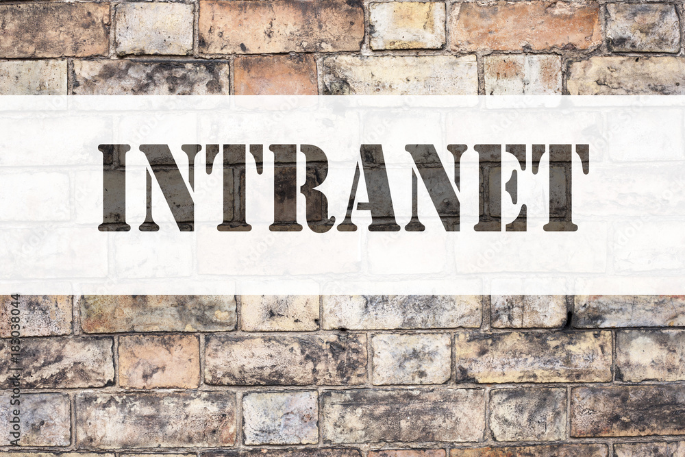 Fototapeta premium Conceptual announcement text caption inspiration showing Intranet word cloud. Business concept for Internet Network Technology written on old brick background with copy space