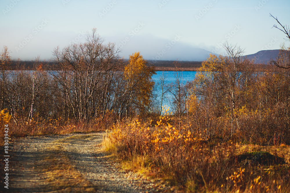 Beautiful vibrant fall autumn landscape of national park near border of Finland, Sweden and Norway, with mountains, camping place, road and forest