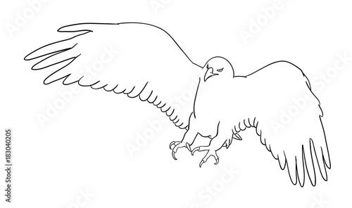 Eagle line art 06. Good use for symbol, logo, web icon, mascot, coloring book, tattoo, sign, or any design you want.