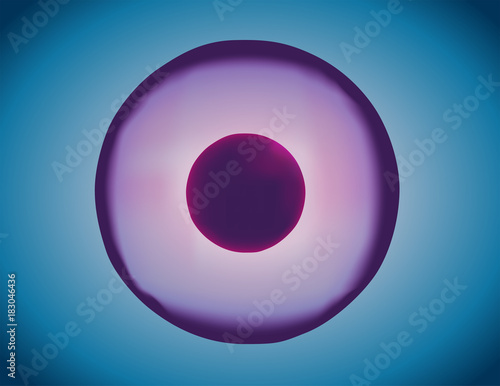 skin cell vector icon
