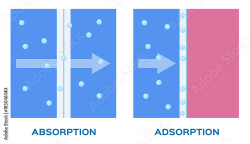 absorption and adsorption vector icon