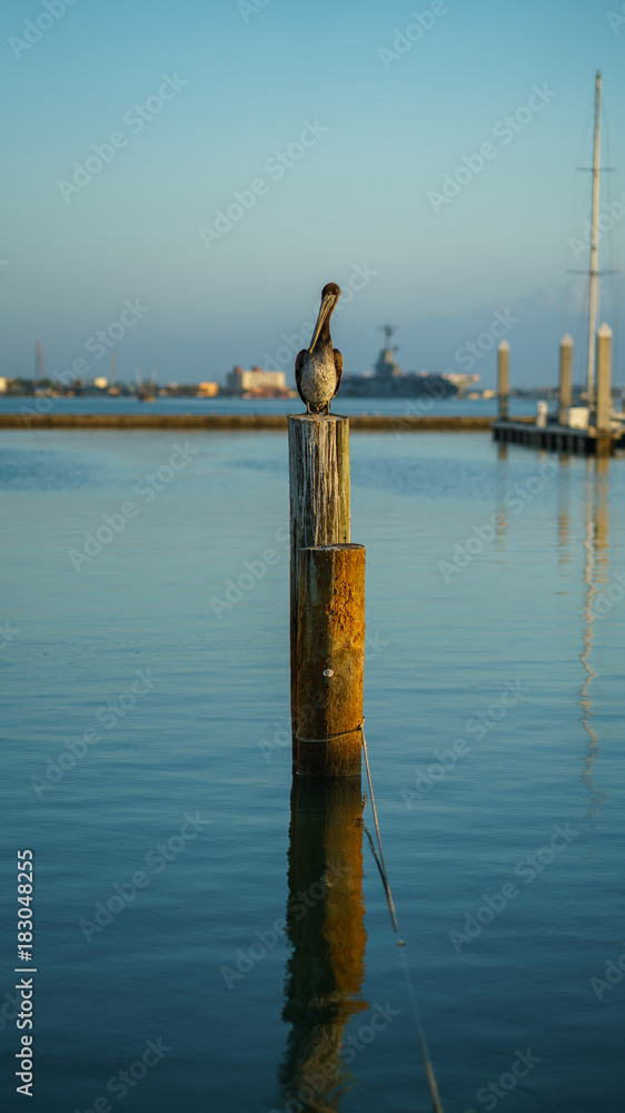 One grand soldier still on post One grand soldier still on post