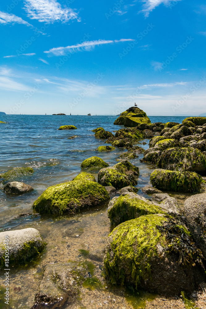 green alga covered rocky shore with blue ocean and sky