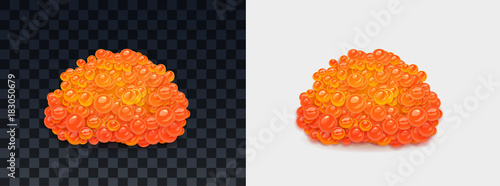 Vector red caviar with transparent shadow isolated on brigt and dark 