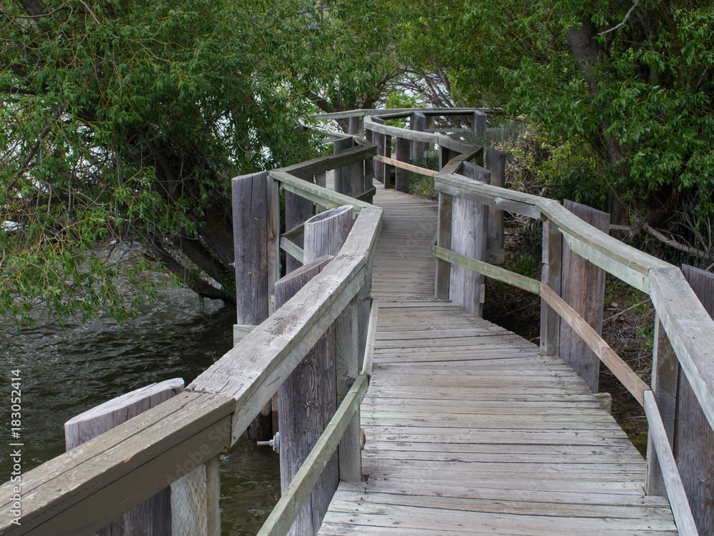 a raised wooden path beside a lake a raised wooden path beside a lake