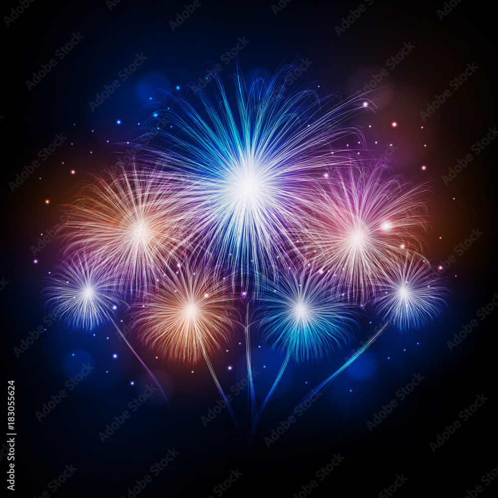 Fototapeta premium Vector holiday firework. Independence day