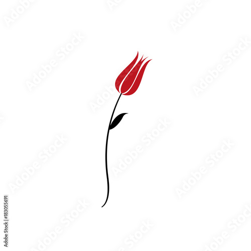 Istanbul and tulip vector.