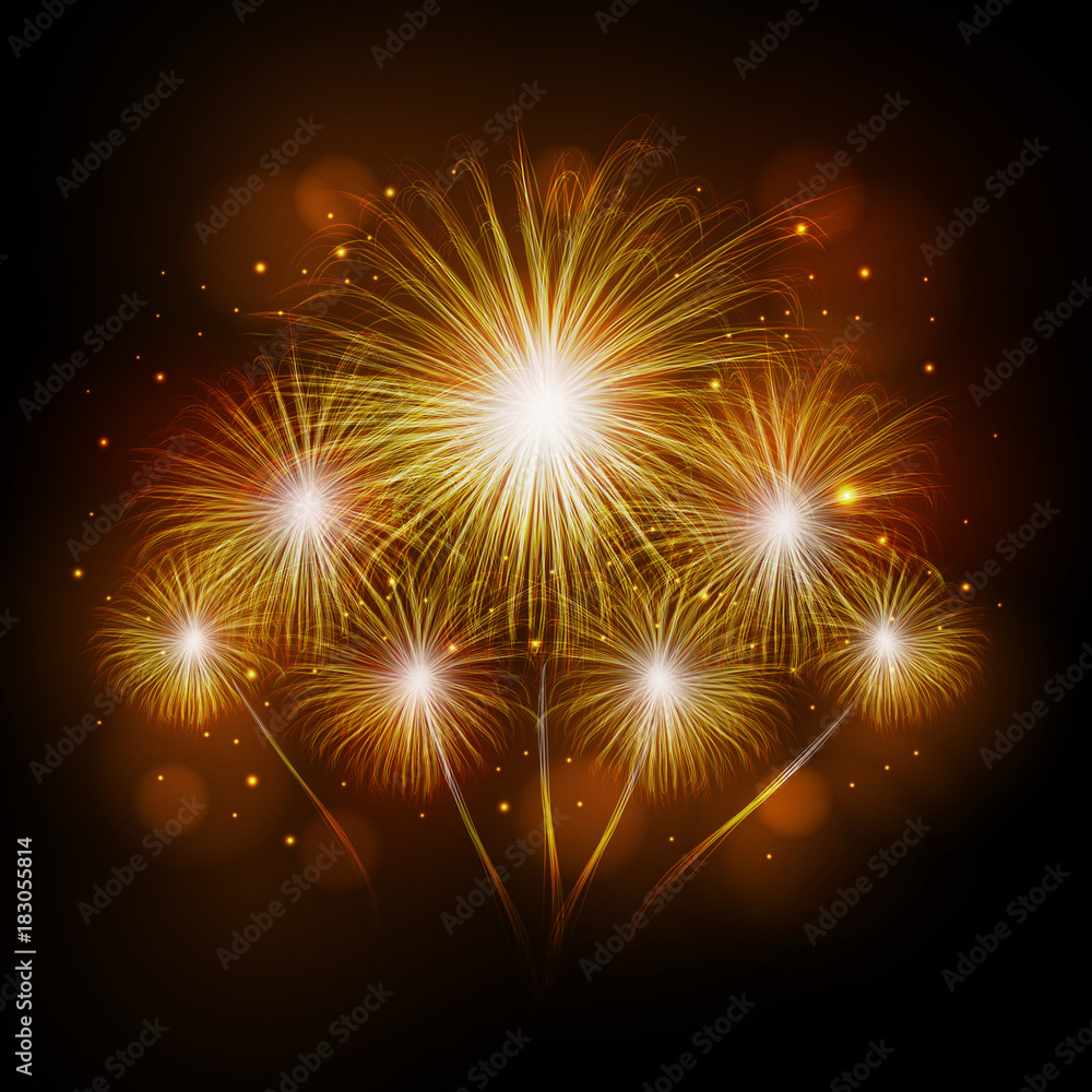 Fototapeta premium Vector holiday firework. Independence day