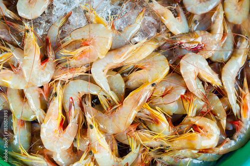 Fototapeta Naklejka Na Ścianę i Meble -  fresh shrimps on ice