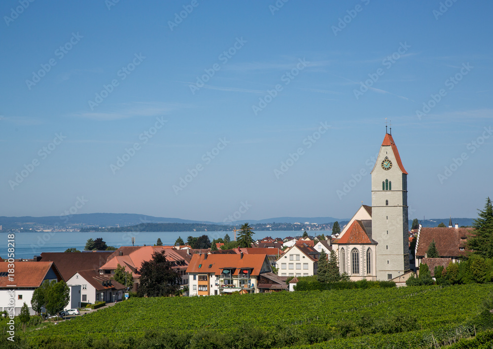 Landscape of the Lake Constance or Bodensee in Germany