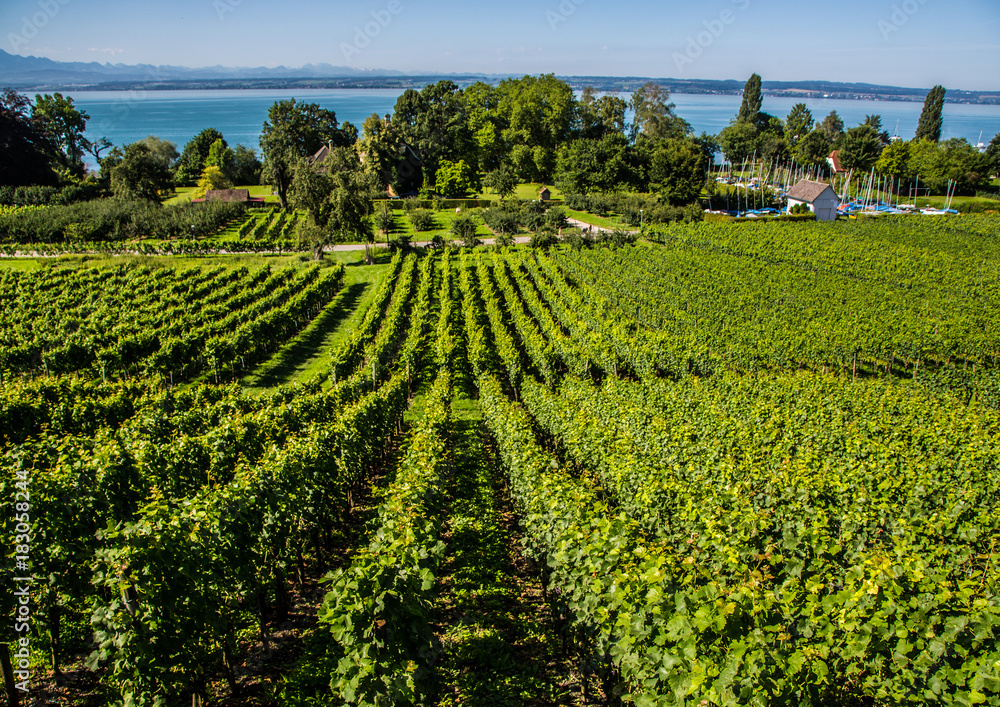 Landscape of the Lake Constance or Bodensee in Germany Landscape of the Lake Constance or Bodensee in Germany