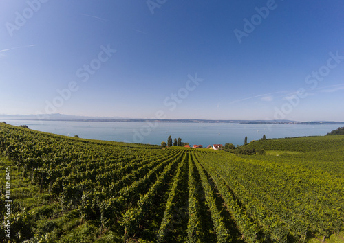 Landscape of the Lake Constance or Bodensee in Germany