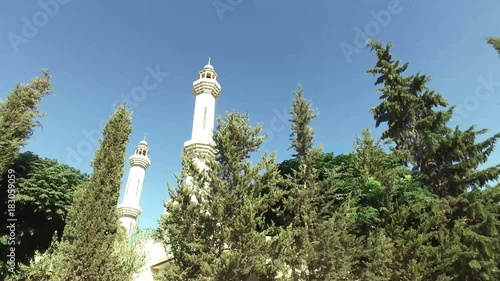 Coniferous trees near the mosque. photo