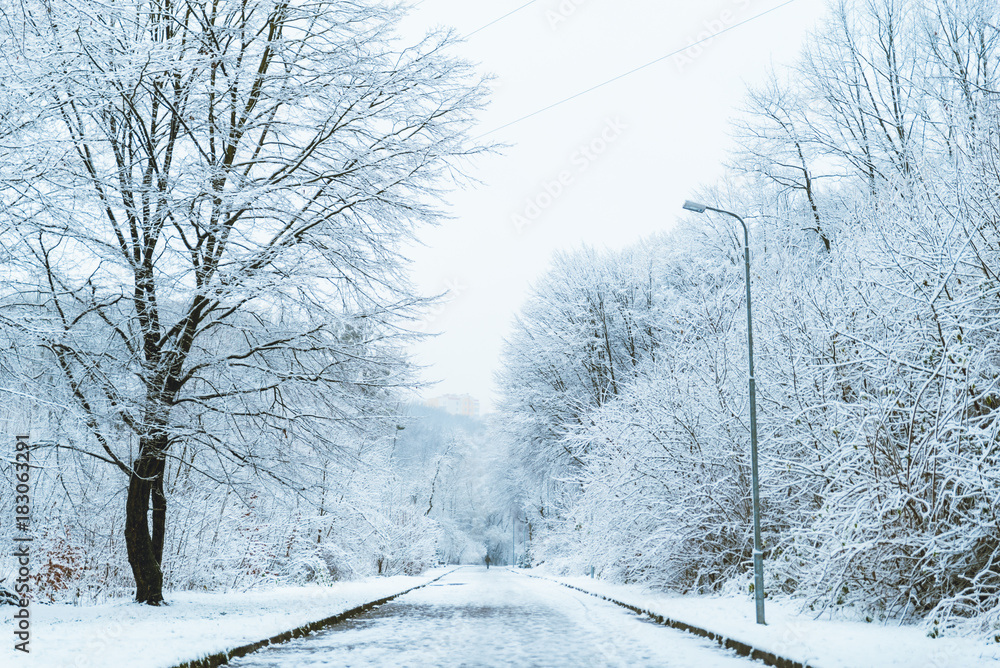 city park in snow in winter morning city park in snow in winter morning