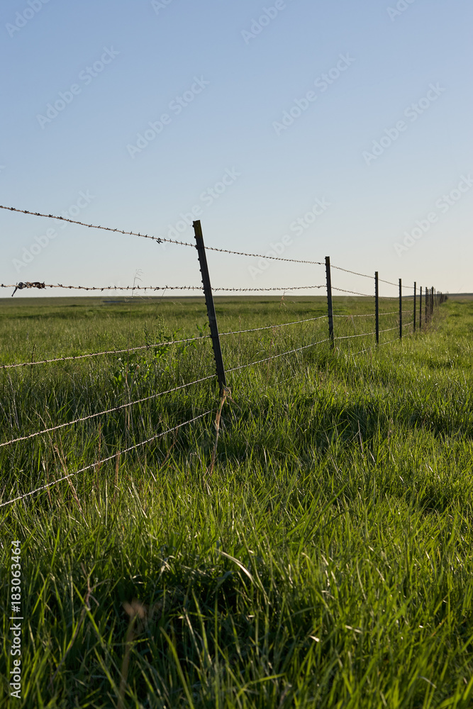 Rustic barbed wire fence in a lush green pasture