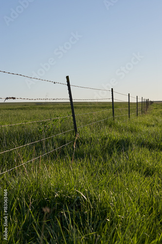 Rustic barbed wire fence in a lush green pasture