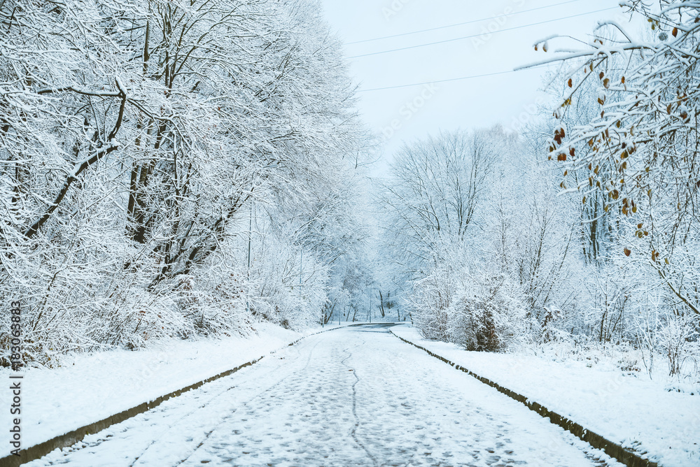 Obraz premium city park in snow in winter morning