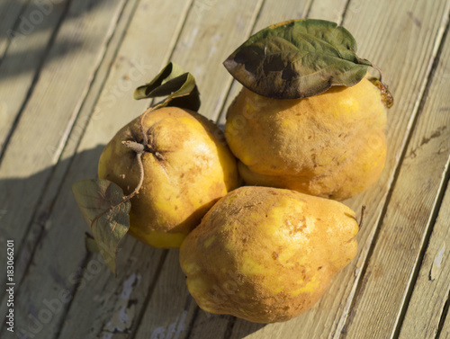 Yellow quince lies on a wooden table photo