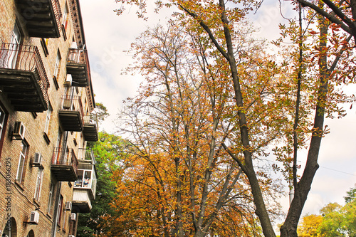 Wallpaper Mural Beautiful autumn. A park. Tops of trees. Torontodigital.ca