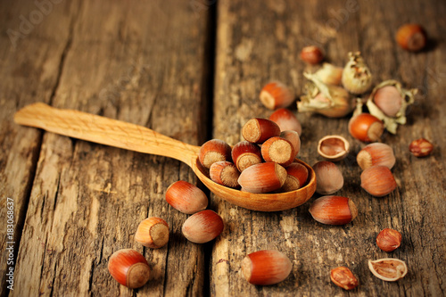 Hazelnuts in wooden spoon on a wooden background