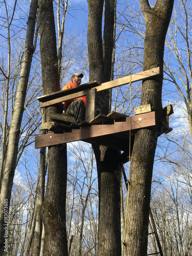 Deer Hunter in a Treestand