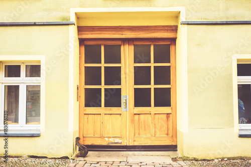Double natural wood entrance door