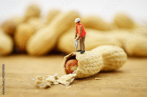 Creative concept with miniature people. Workers chopping nuts.