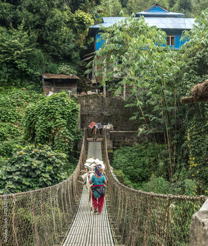 Donkeys cross the rope bridge in Anapurna photo