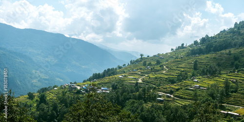 Green valley with rice terraces, Annapurna circuit, Nepal.