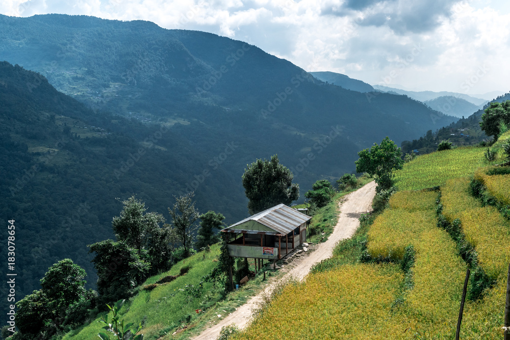 Obraz premium Green valley with rice terraces, Annapurna circuit, Nepal.