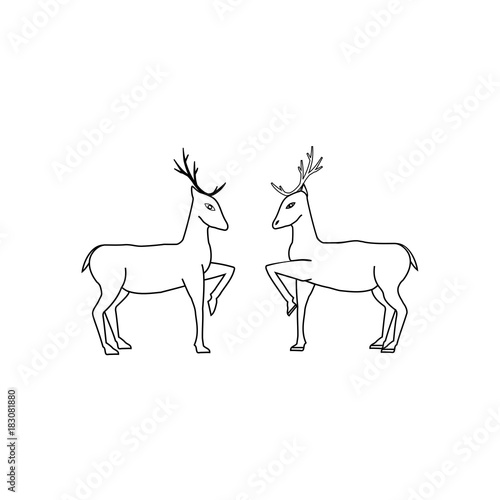 Two deer isolated