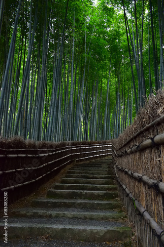 Pathway through bamboo grove, Kyoto Japan
竹林　京都