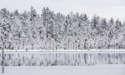 Beautiful first snow in the pond in Finland in December