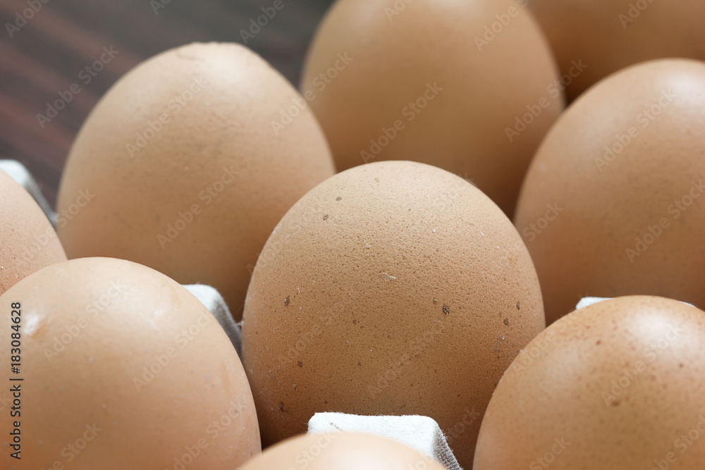 Chicken Egg fresh from farm. Chicken Egg fresh from farm.