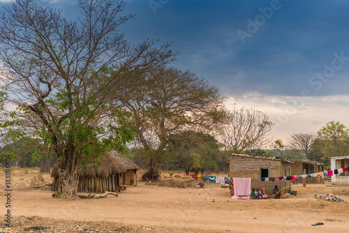 small African village with imbondeiros. Angola.