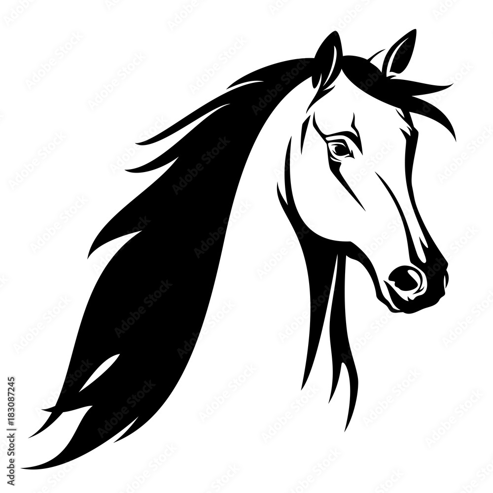 horse head black and white vector design Stock Vector Adobe Stock
