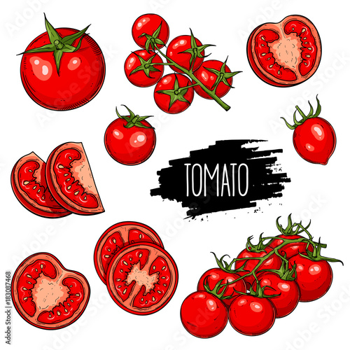 Hand drawn vegetable set of tomatoes, slices, halves and cherry tomatoes isolated on white background. Vector sketch illustration.