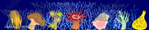 Different corals on blue marine background with stylized branched corals photo