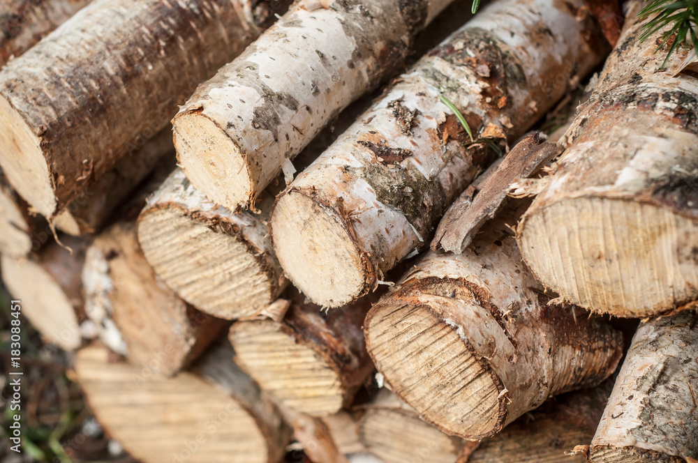 buches de bouleau pour bois de chauffage buches de bouleau pour bois de chauffage