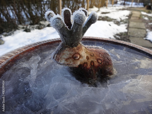 rusty metal frog with crown surrounded by ice