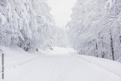 A snowy road in the mountains