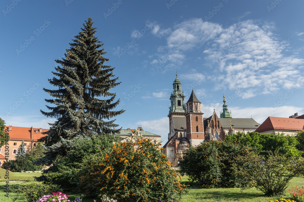 Obraz premium krakow2