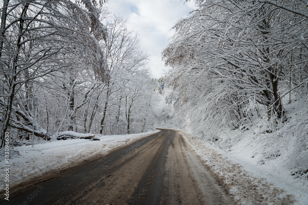 Obraz premium winter background