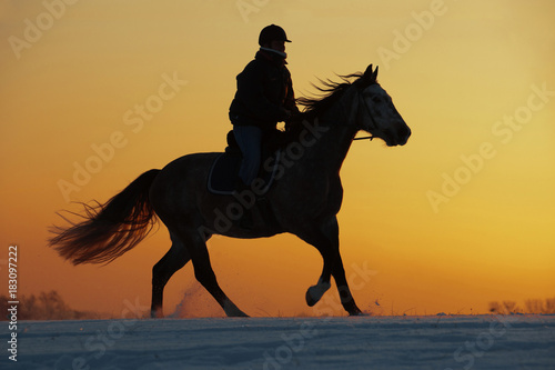 Silhouette of a girl and horse at sunset