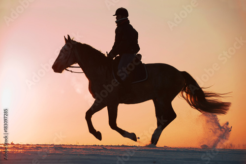 Silhouette of a girl and horse at sunset